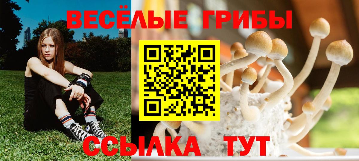 Псилоцибиновые грибы прущие грибы  Вход с VPN  Геленджик 