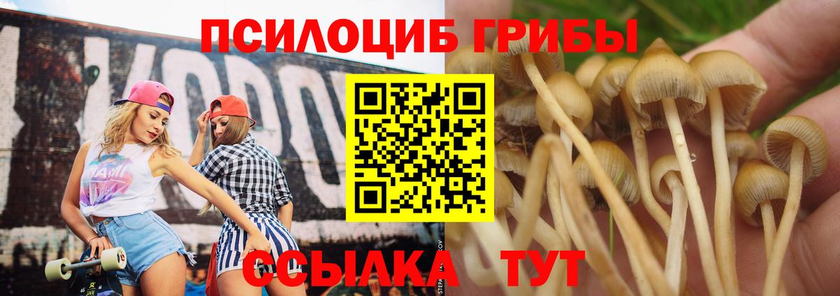 Псилоцибиновые грибы Magic Shrooms Геленджик