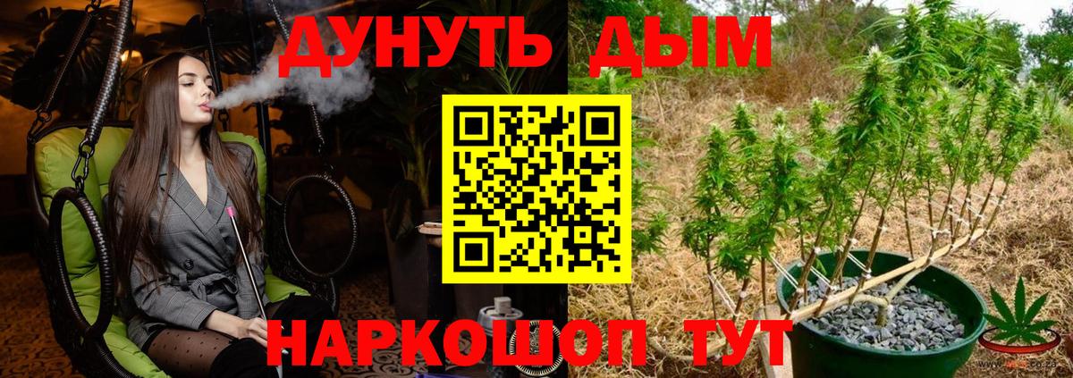 Канабис SATIVA & INDICA Геленджик